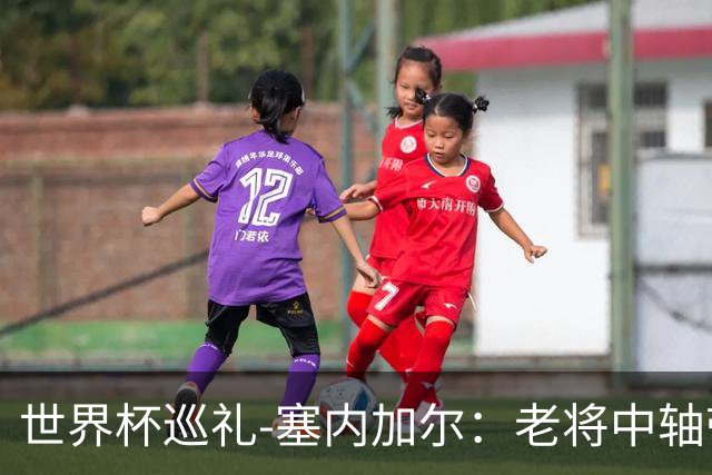 世界杯巡礼-塞内加尔：老将中轴带来安全感，非洲顶流前景可期！