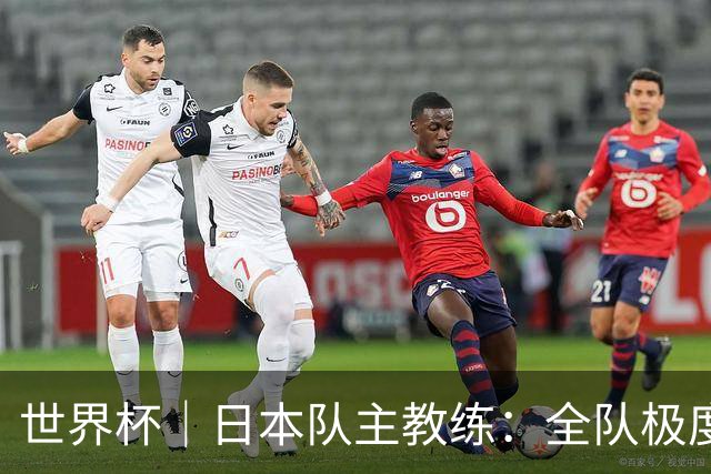 世界杯｜日本队主教练：全队极度渴望以小组头名出线
