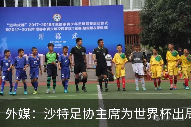 外媒：沙特足协主席为世界杯出局担责辞职 足协不会因此出现真空